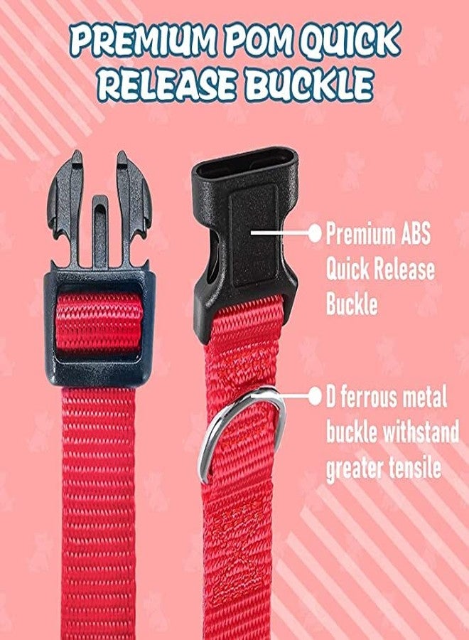 Pups&Pets طقم طوق نايلون قابل للتعديل مع حزام للكلاب والجراء | طقم حزام 15 مم للكلاب والجراء (لون أحمر) - Image 3